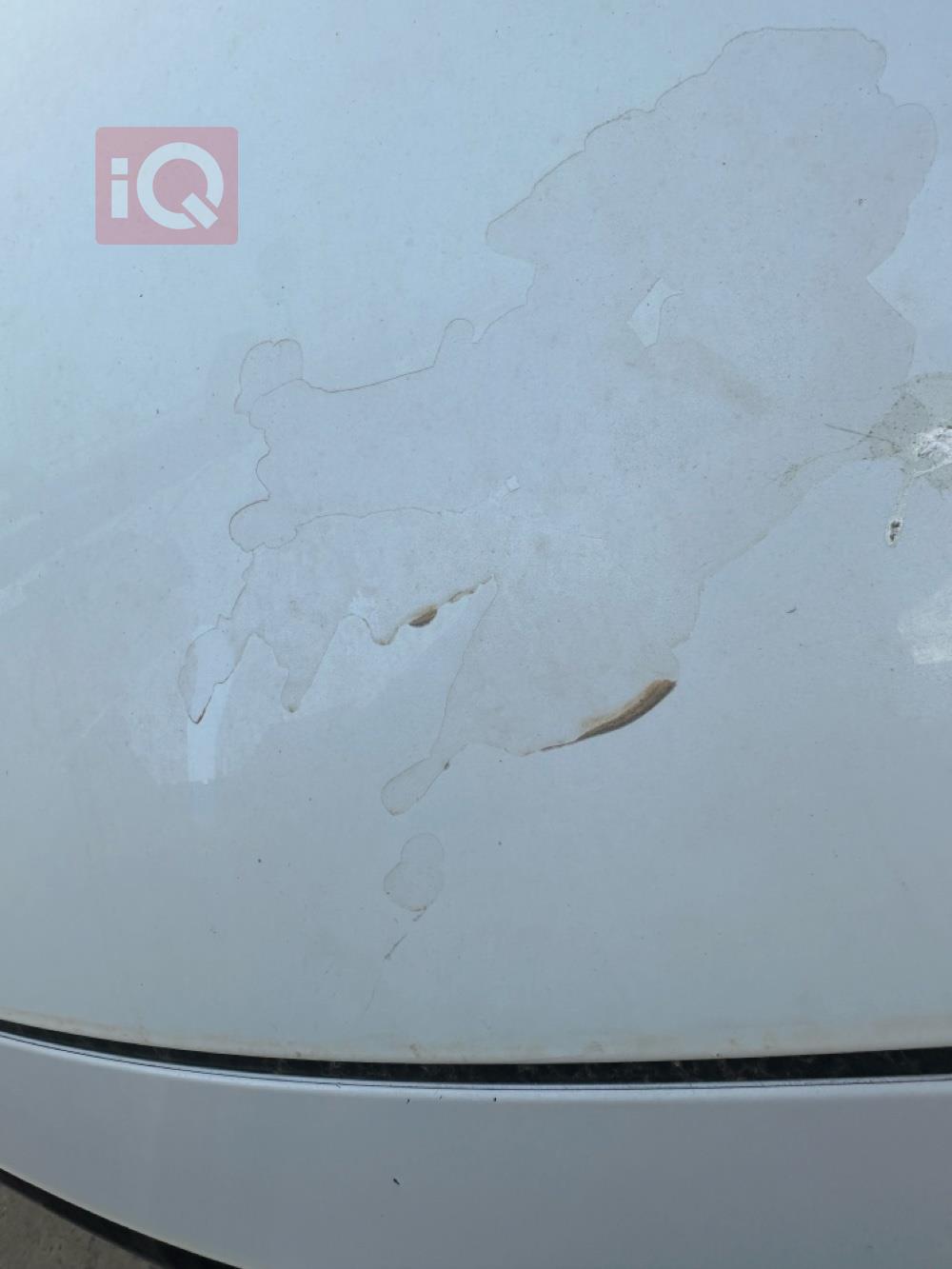 تويوتا أفالون